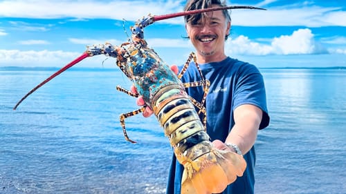 Catching GIANT CRAYFISH By Hand - Catch & Cook