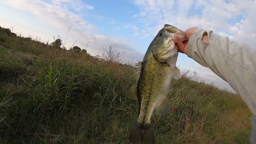 Fall Time Bassin' (Waco, Tx)