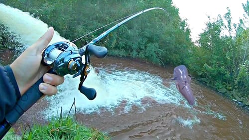 I Caught the KING OF THE SPILLWAY!!! (Surprising)