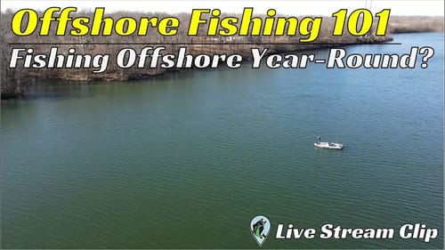 Can You Fish Offshore Year Round? | FTM Livestream #89