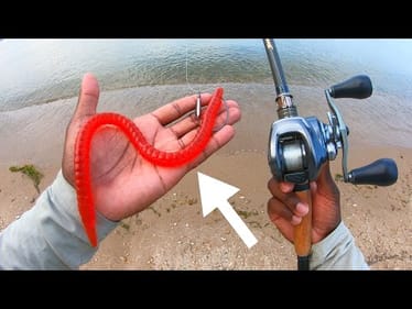 You NEED To Try This CRAZY Japanese Worm This Summer!