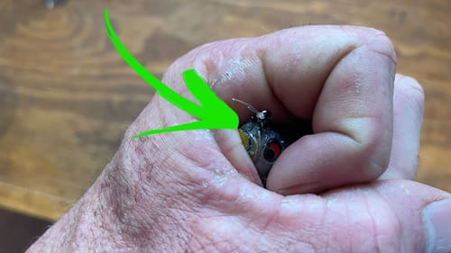 THIS Lure Is Poised To Be The Best Early Spring Bait Of 2023…