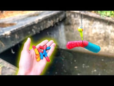 INSANE CATFISHING with GUMMY WORMS!!