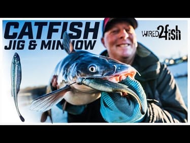 Targeting Catfish with Lures? This Changes Everything!