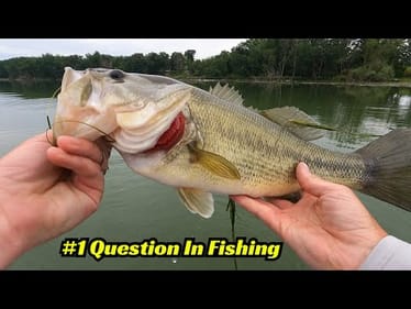 The #1 Question In Fishing Is… Do You Leave Fish To Find Fish? I Do!