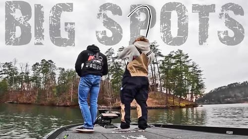 Fishing Swimbaits In Clear Water! (LOADED)