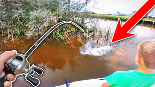 The Bayou Creature we DID NOT Want to Hook! (We ate it)