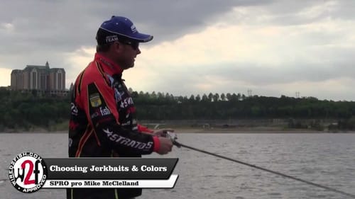 How to Choose Jerkbaits and Colors