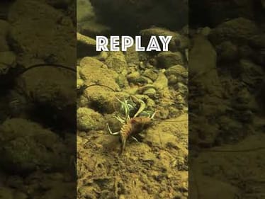 What do you think these guys were throwing hands for?? 💥🥊 Wrong answers only🤣