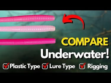 Side-by-Side Look at Floating Worms Underwater (Huge Difference!)