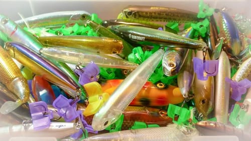 Which Topwater Baits Should You Fish?  Ft. Eric Cooper