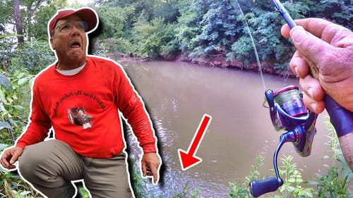 I Can't Believe THIS!!! MASSIVE Fish In Tiny Creek!!!