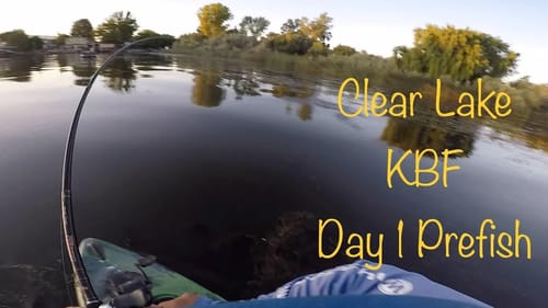 Epic Topwater Frog Fishing Clear lake