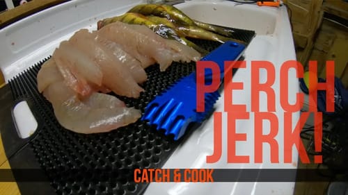 Catch and Cook Yellow Perch Fishing in the Midwest