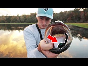 Big Bass Eats Snake!?! (Fishing Challenge)