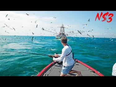 We Found An INSANE Shark Feeding FRENZY -- PART 3 (Never Stop Tour)