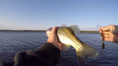 Classic Googan Fishing Moments (ft. LunkersTV & 1Rod1ReelFishing)