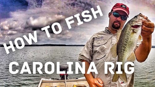 The Details of a Carolina Rig