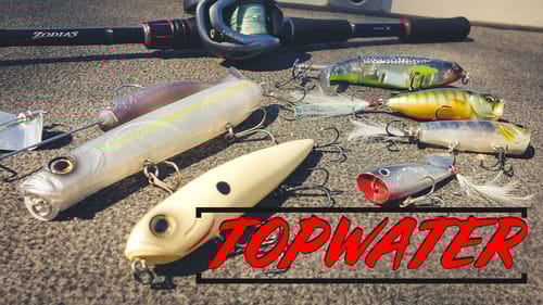 Fall Topwater For Bass | Everything You Need To Know + Underwater Footage!