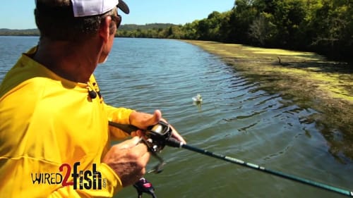 Find & Trigger Fall River Bass with Spinnerbaits