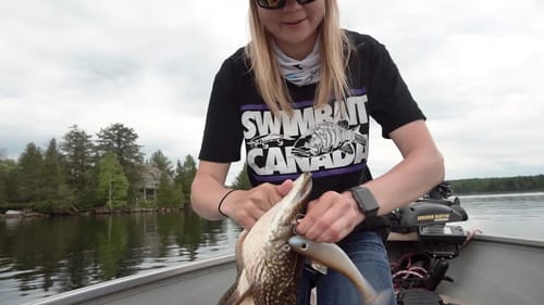 Crazy Day Pike Fishing (Big Swimbaits)!!
