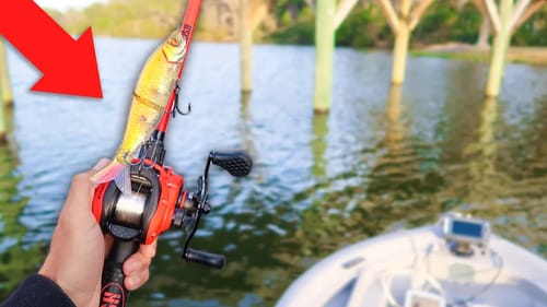 This Lake is LOADED w/ GIANT Bass (Jon Boat Tournament)