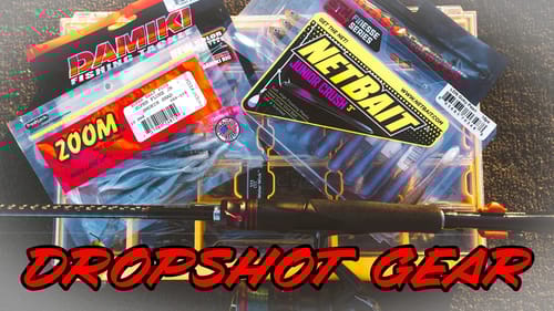 BUYER'S GUIDE: DROPSHOT FISHING - BAITS, TACKLE, RODS