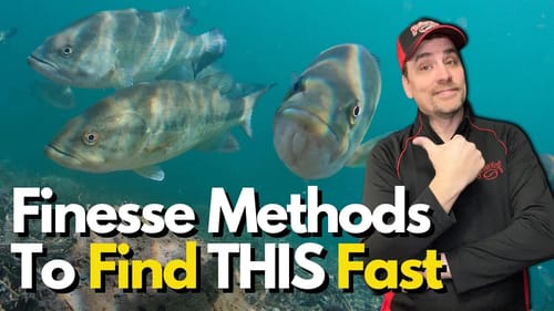 Must do THIS First When Finesse Fishing: Key Approach