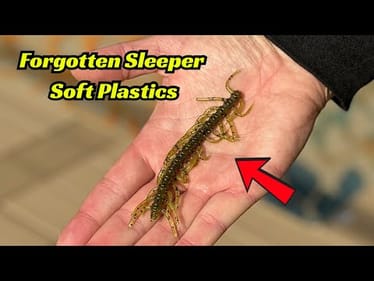 We Have Forgotten About These Soft Plastic Fishing Lures! Why?