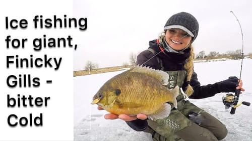ICE fishing BIG gills (in the freezing cold)