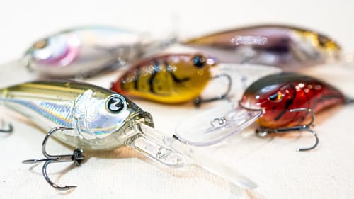 Cold Water Crankbait Tricks For Big Bass In Winter