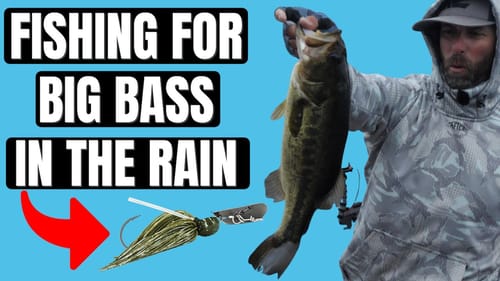 FISHING FOR BASS IN THE RAIN! (MOLIX COMPACT BLADE JIG)