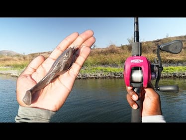 This New Soft Swimbait Completely Changed The Way I Fish!