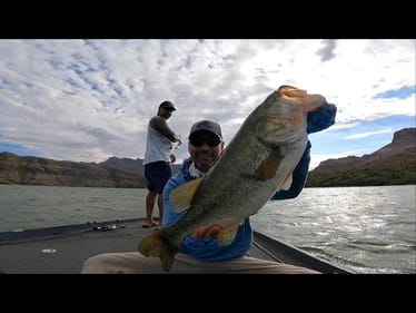 TOP SECRET BAIT: Coming Soon!!