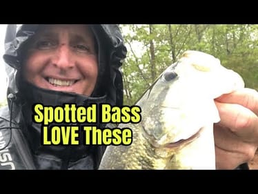 The 5 Best Spotted Bass Lures You’ve Never Tried …
