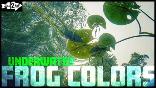 Does Frog Color Matter? Underwater View