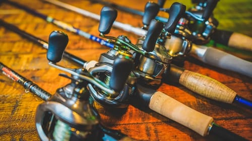 Top 8 Casting Rods of 2018 - Buyer's Guide