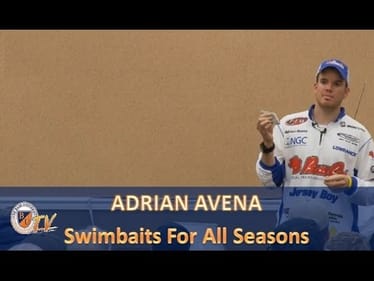 Swimbaits For All Seasons w/ ADRIAN AVENA