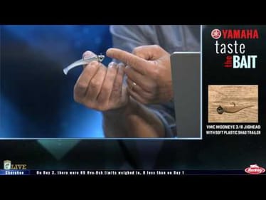 Taste the Bait: Damiki rig