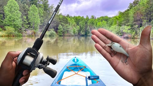 Hidden BACKWATER Fishing For Bass (Kayak Tournament Practice)