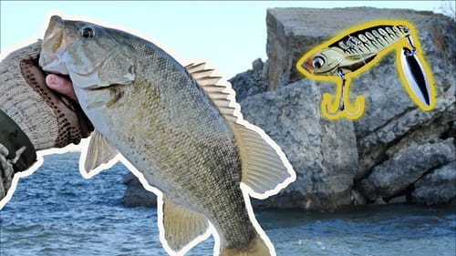 Catching DEEP Winter Bass | Fishing Spoon & Blade Lures