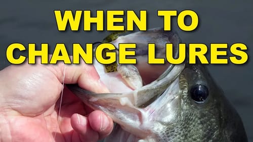 Know How Long To Fish A Lure! | How To | Bass Fishing