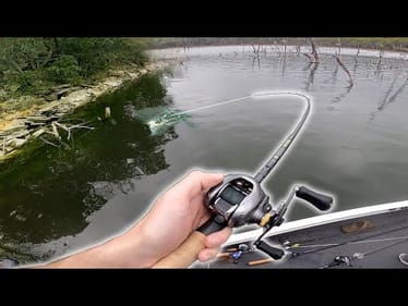 Fishing in a STORM Triggers Super Aggressive Fish! (Topwater Bass Fishing)