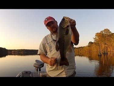 Fishing a Shaky Head Worm