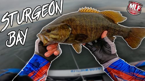 Great Lake, Big Waves, Giant Bass- 2020 MLF Sturgeon Bay