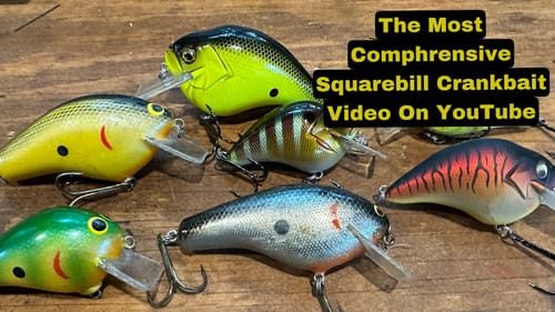 The Best 45 Minute Squarebill Crankbait Video Ever Seen On YouTube…