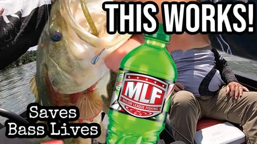 This Secret Will Save a Deep Hooked Bass - MLF Guntersville Day 3