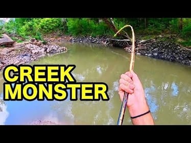 70 LB MONSTER from a TINY CREEK?!