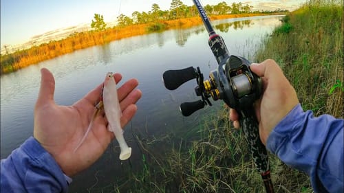 The Fishing In Florida You May Have Never Heard of