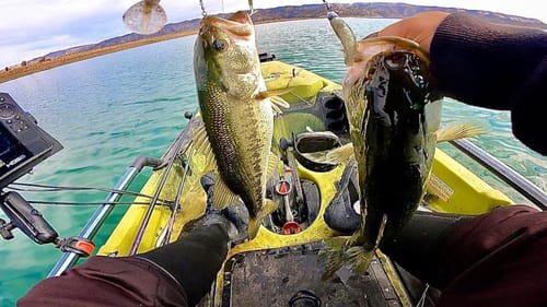 Fishing Lake Berryessa (Found the Mega School)